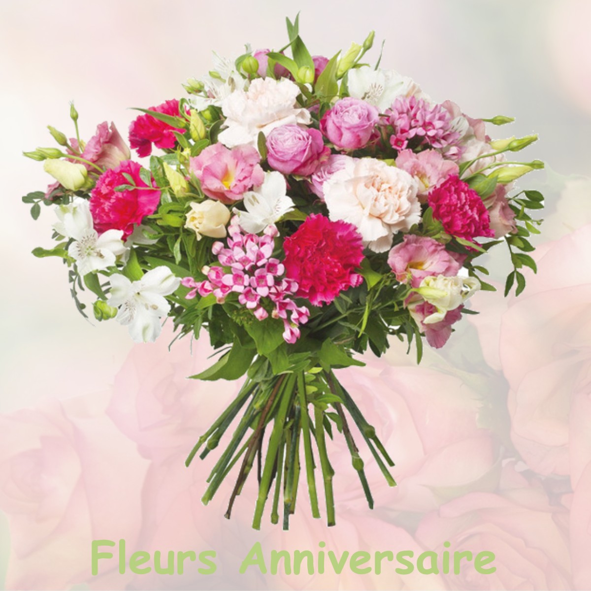 fleurs anniversaire SALLES-CURAN